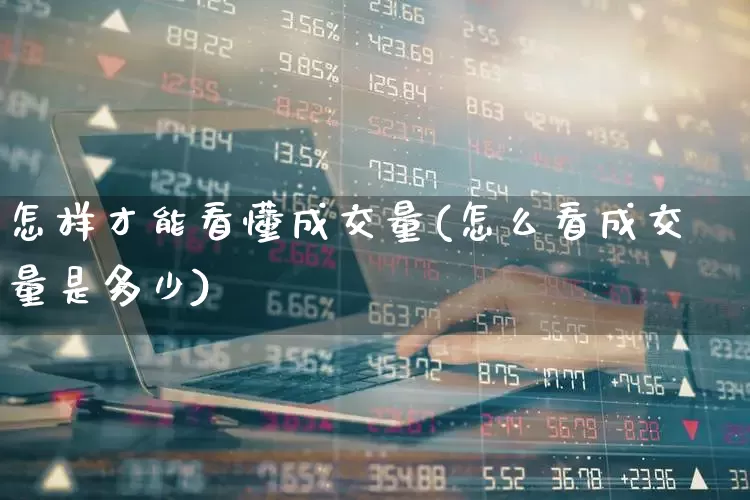 怎样才能看懂成交量(怎么看成交量是多少)_https://www.shshucaipeisong.com_上交所_第1张