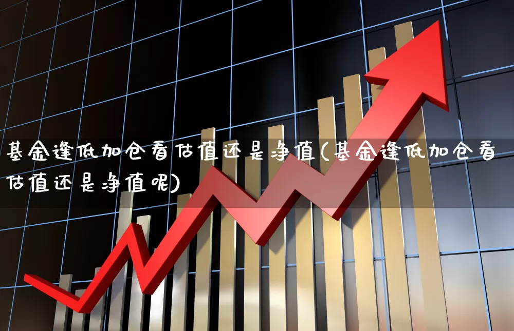基金逢低加仓看估值还是净值(基金逢低加仓看估值还是净值呢)_https://www.shshucaipeisong.com_创业板_第1张