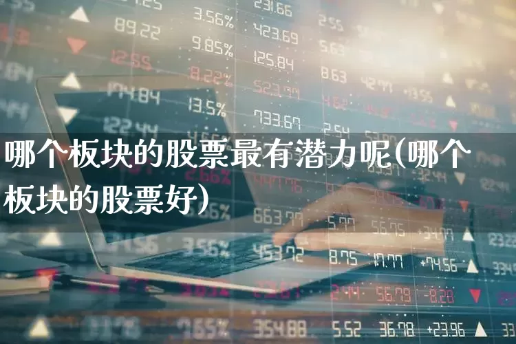 哪个板块的股票最有潜力呢(哪个板块的股票好)_https://www.shshucaipeisong.com_上交所_第1张