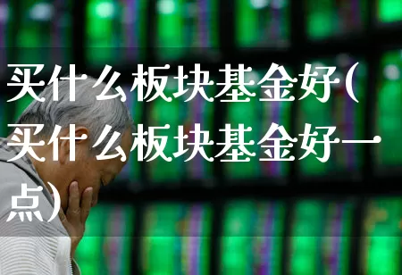 买什么板块基金好(买什么板块基金好一点)_https://www.shshucaipeisong.com_创业板_第1张