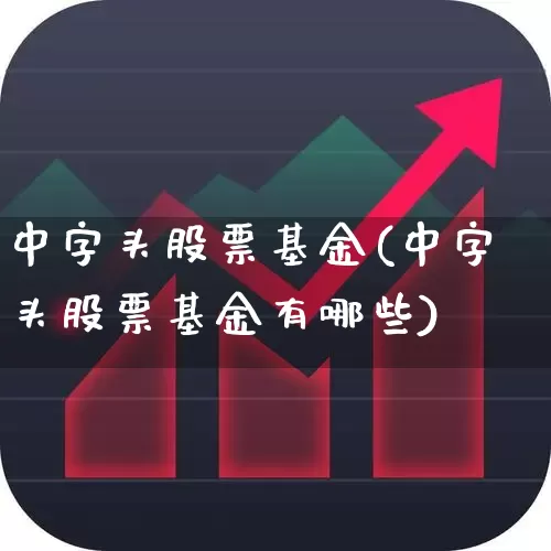 中字头股票基金(中字头股票基金有哪些)_https://www.shshucaipeisong.com_深交所_第1张