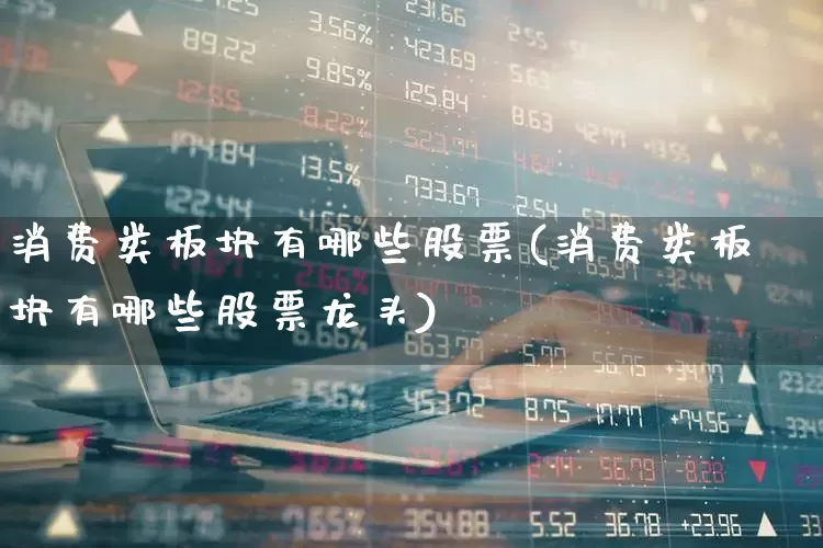 消费类板块有哪些股票(消费类板块有哪些股票龙头)_https://www.shshucaipeisong.com_科创板_第1张