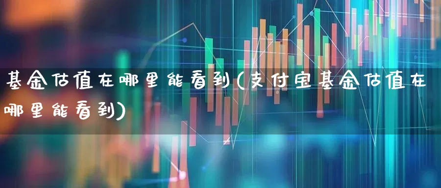 基金估值在哪里能看到(支付宝基金估值在哪里能看到)_https://www.shshucaipeisong.com_深交所_第1张