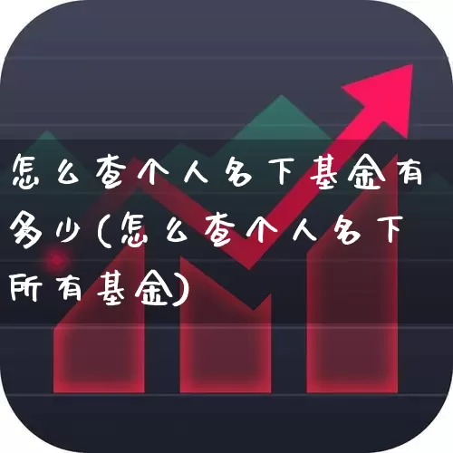 怎么查个人名下基金有多少(怎么查个人名下所有基金)_https://www.shshucaipeisong.com_北交所_第1张