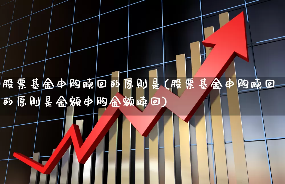 股票基金申购赎回的原则是(股票基金申购赎回的原则是金额申购金额赎回)_https://www.shshucaipeisong.com_创业板_第1张