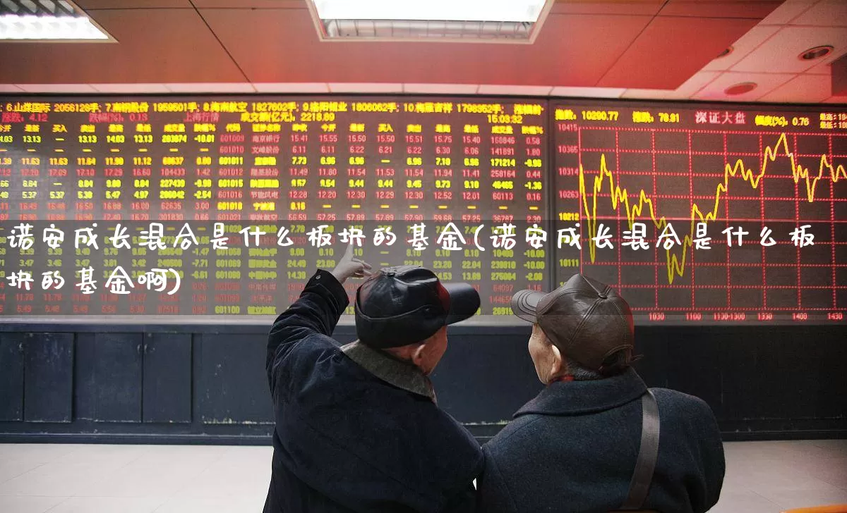 诺安成长混合是什么板块的基金(诺安成长混合是什么板块的基金啊)_https://www.shshucaipeisong.com_上交所_第1张