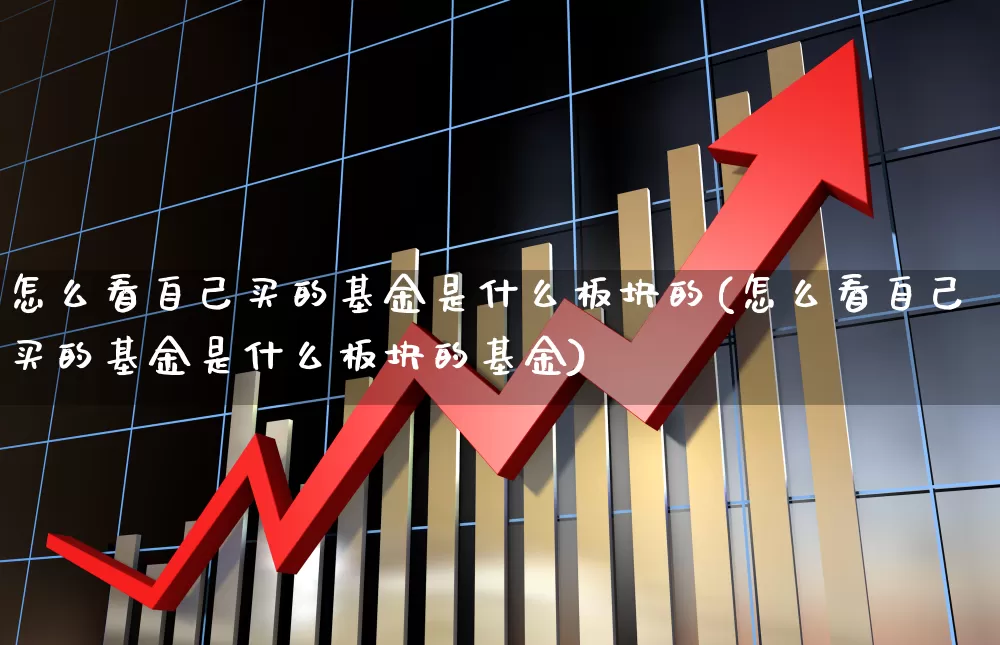 怎么看自己买的基金是什么板块的(怎么看自己买的基金是什么板块的基金)_https://www.shshucaipeisong.com_上交所_第1张