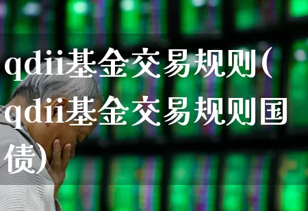 qdii基金交易规则(qdii基金交易规则国债)_https://www.shshucaipeisong.com_深交所_第1张