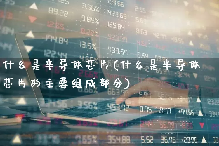 什么是半导体芯片(什么是半导体芯片的主要组成部分)_https://www.shshucaipeisong.com_创业板_第1张