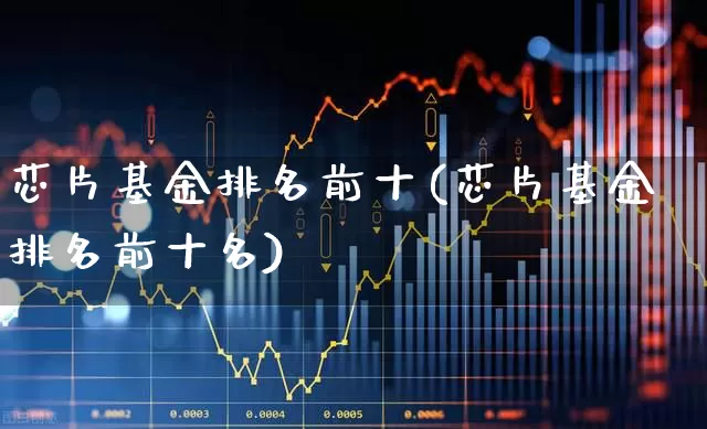 芯片基金排名前十(芯片基金排名前十名)_https://www.shshucaipeisong.com_深交所_第1张