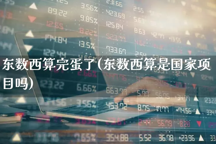 东数西算完蛋了(东数西算是国家项目吗)_https://www.shshucaipeisong.com_上交所_第1张